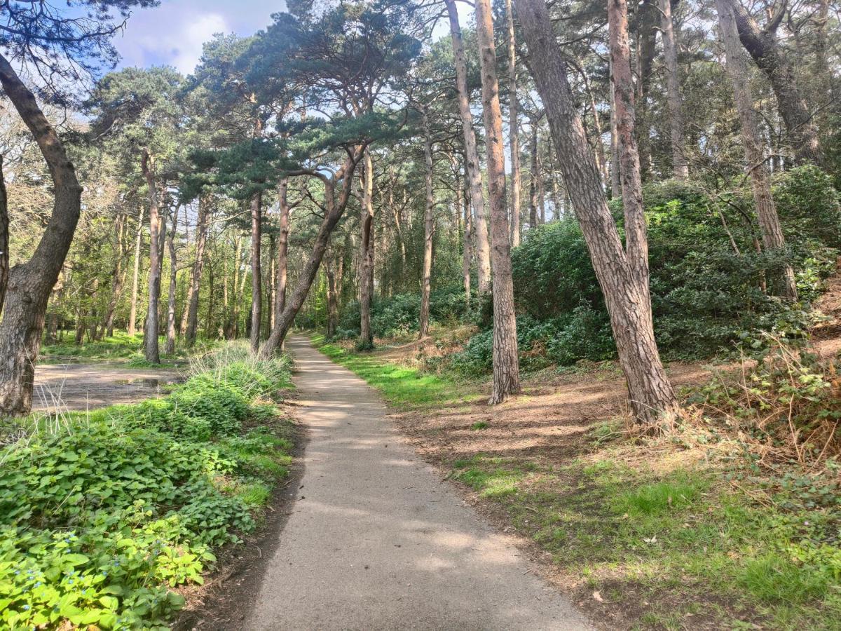 Peaceful Getaway In Forested Park Bournemouth Exterior photo
